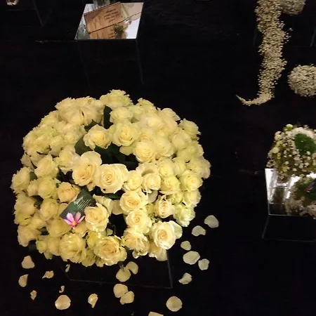 Kotedzai Milikoniu G. *