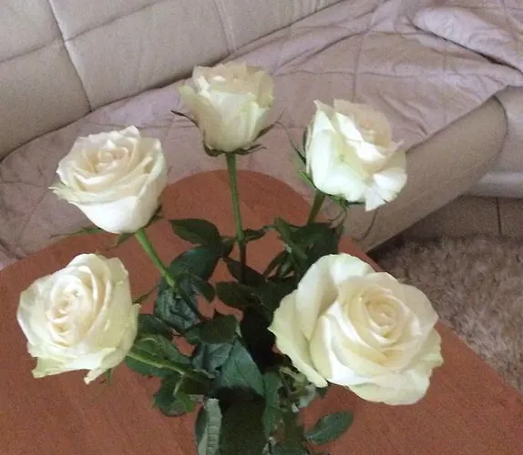 公寓 Kotedzai Milikoniu G. *