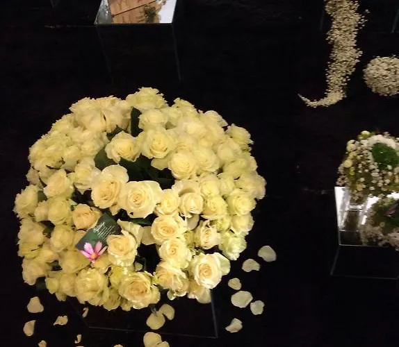 Kotedzai Milikoniu G. *