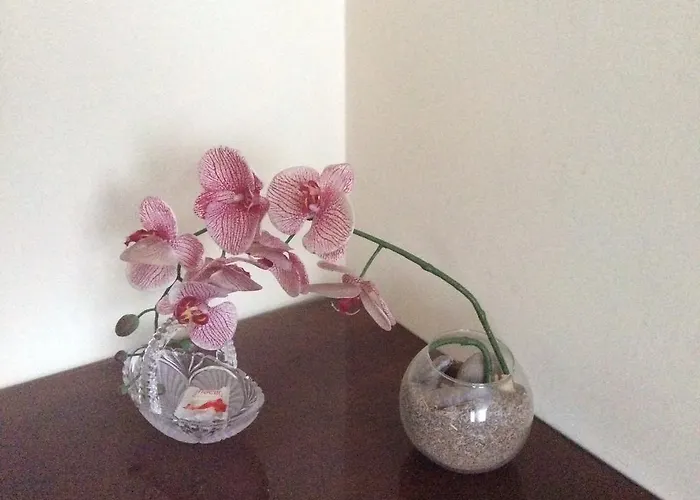 Kotedzai Milikoniu G. *